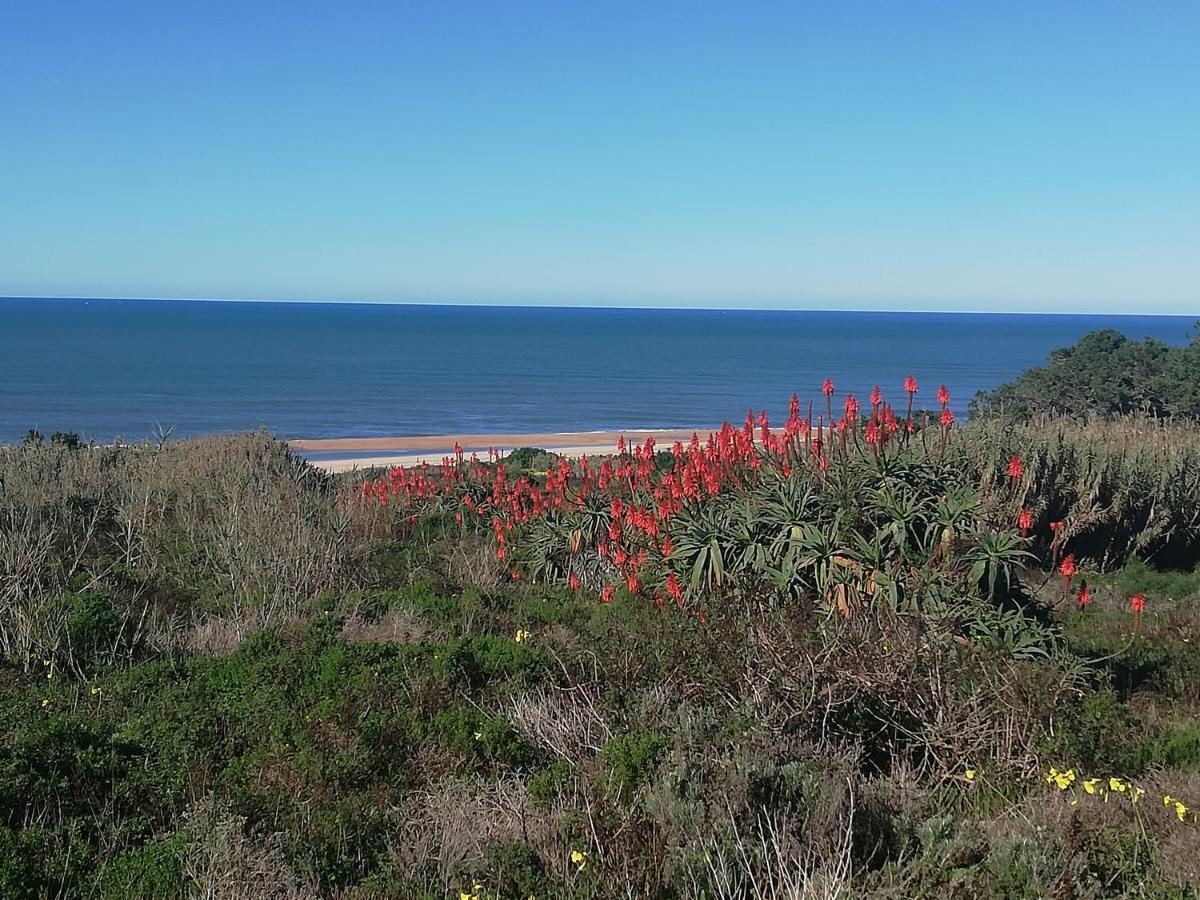Pearl Of * Nazare