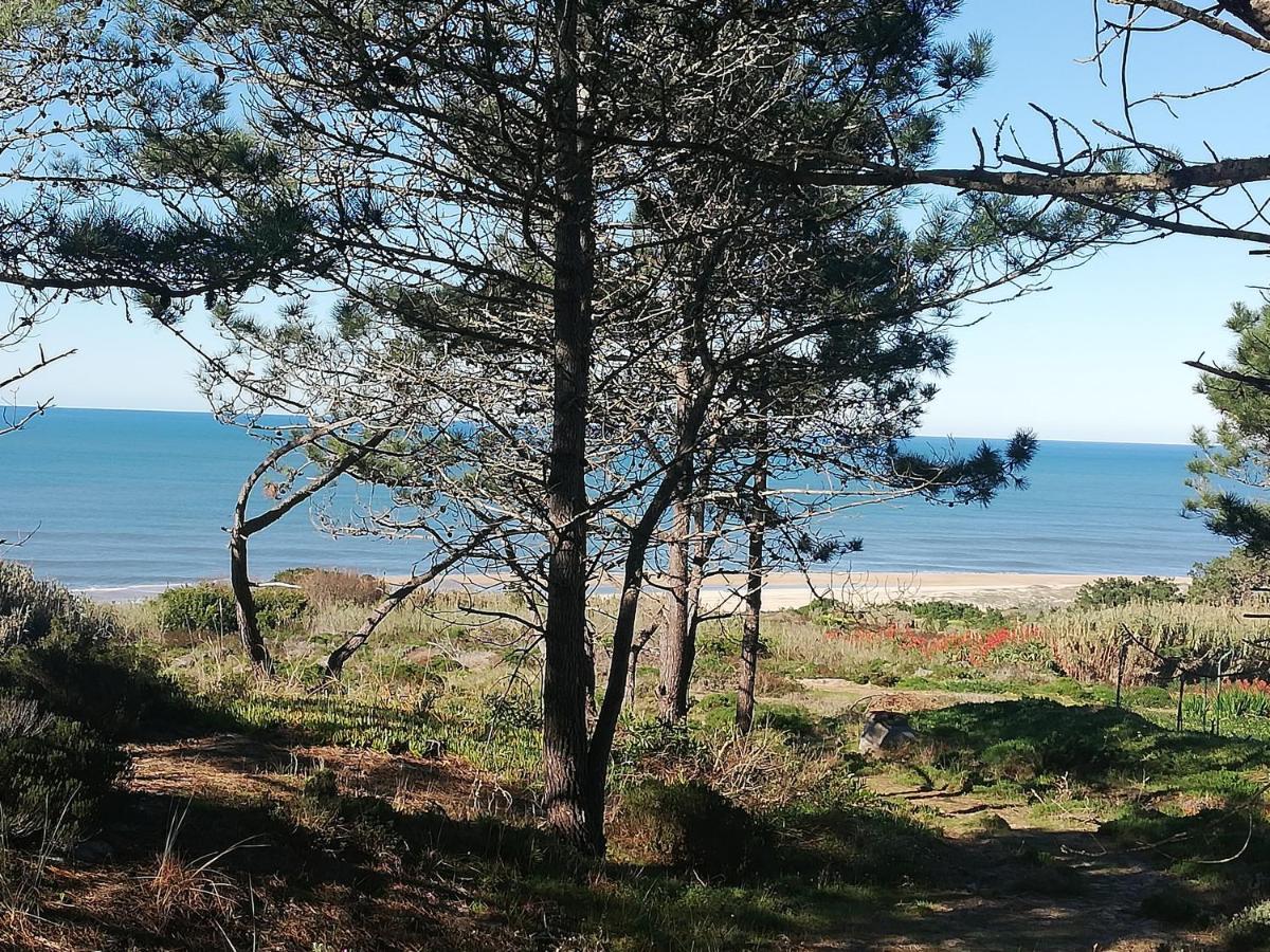 Pearl Of Apartment Nazare